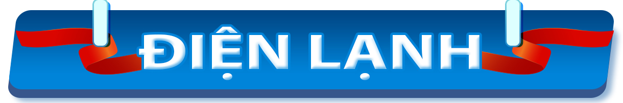 banner landing page dienmay365 5